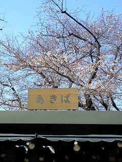 2010年03月29日 (Mon) 桜の栞