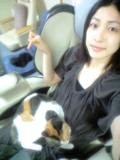 2010年05月10日 (Mon) ひざで毛づくろいをする猫