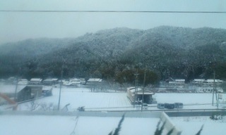 2011年01月07日 (Fri) 雪
