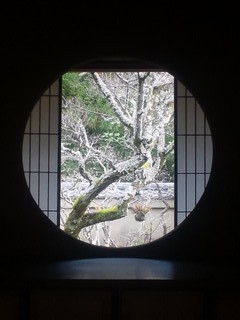 2012年01月26日 (Thu) 悟りの窓
