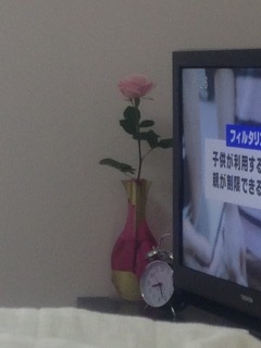 2013年01月08日 (Tue) ピンクのバラ