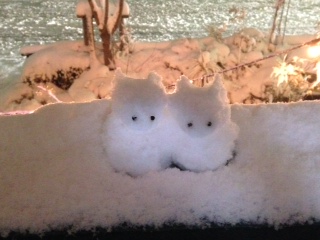 雪猫さん