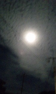 2010/10/23 (Sat) Moon!